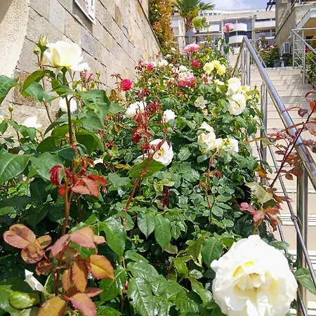 דירה Dolce Ii Waterfront Aura Sea View Luxury